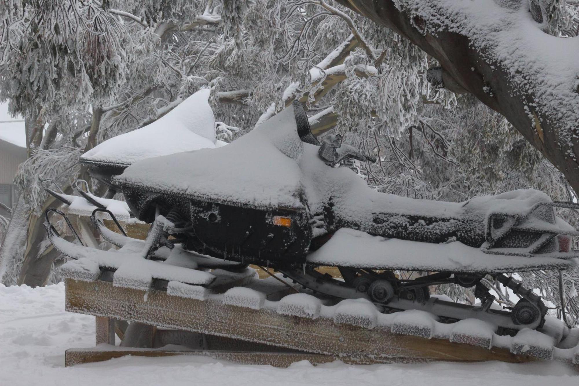 מלון מאונט בולר Alpine Retreat Mt Buller מראה חיצוני תמונה